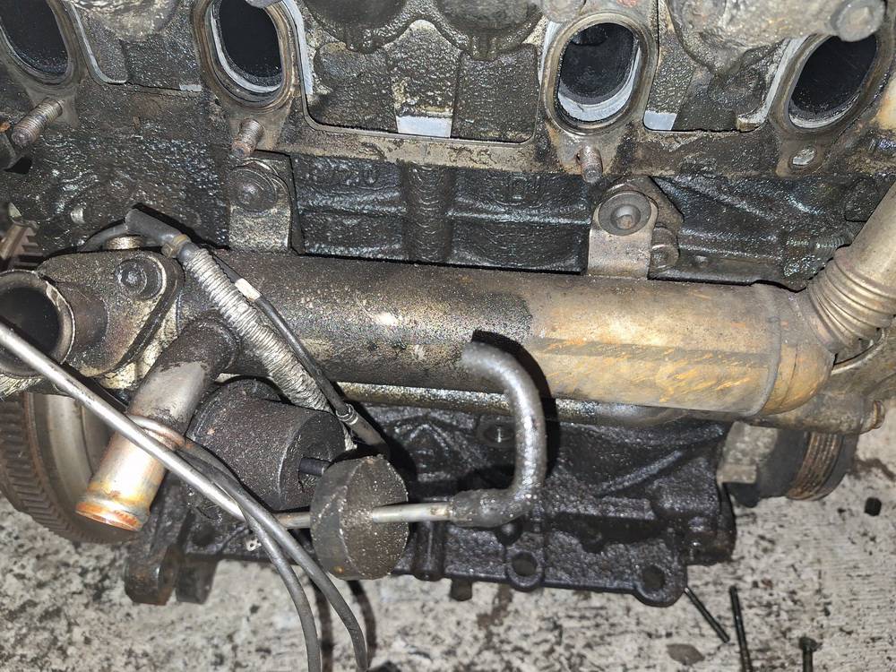 Volkswagen Passat 2005 EGR ausintuvas (Ismetamuju duju ausintuvas (EGR))