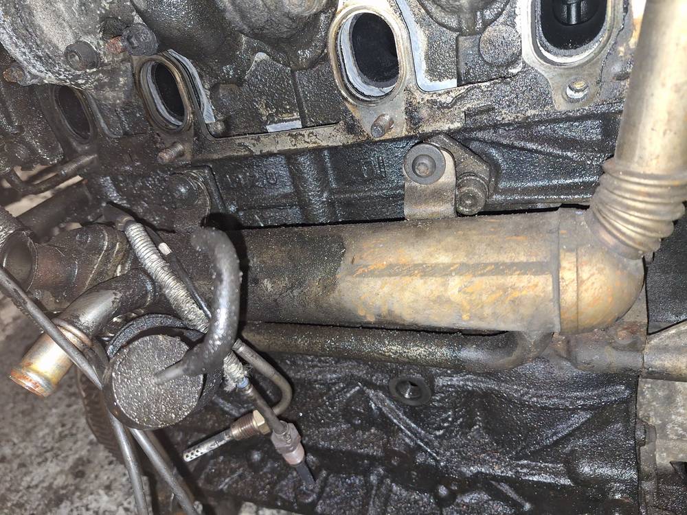 Volkswagen Passat 2005 EGR ausintuvas (Ismetamuju duju ausintuvas (EGR)) - Thumbnail 3