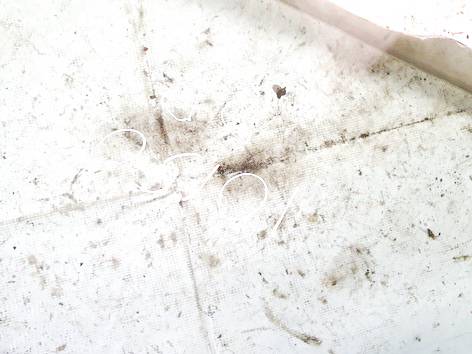 DOT39AS2M34 Citroen C5 2005 Vitre de Porte Avant Droite - Thumbnail 3