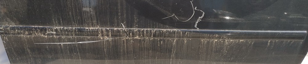 Ford Focus 2007 Listón embellecedor de la puerta delantera (moldura) - DELANTERO DERECHO