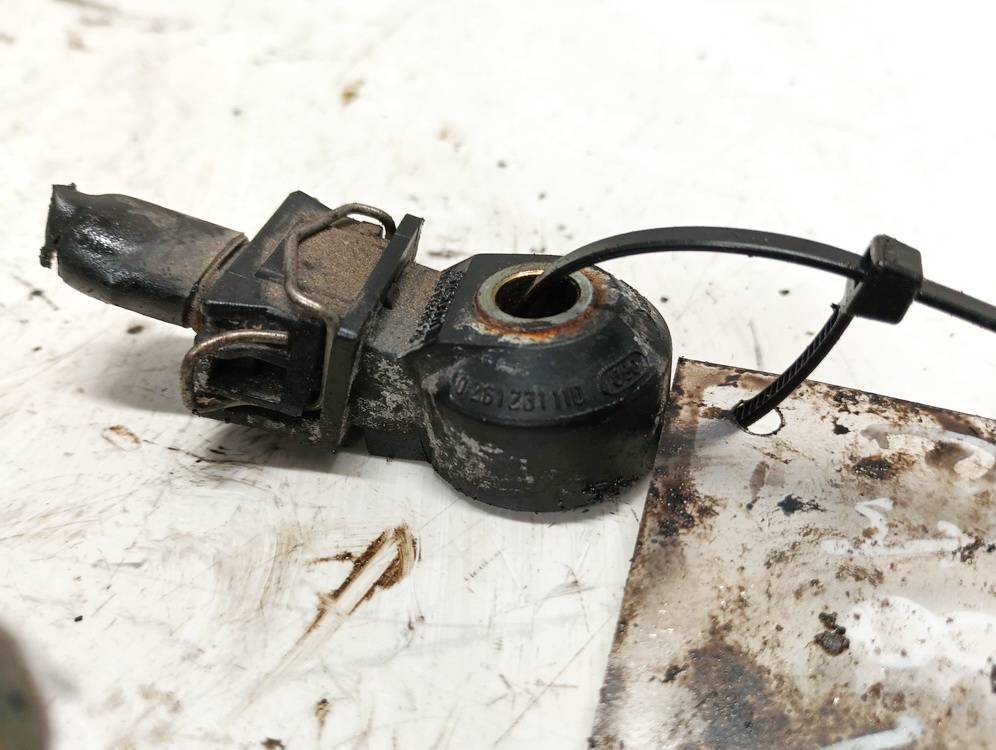 0031538628 Mercedes-Benz C-CLASS 2002 Detonacinis daviklis - Thumbnail 4