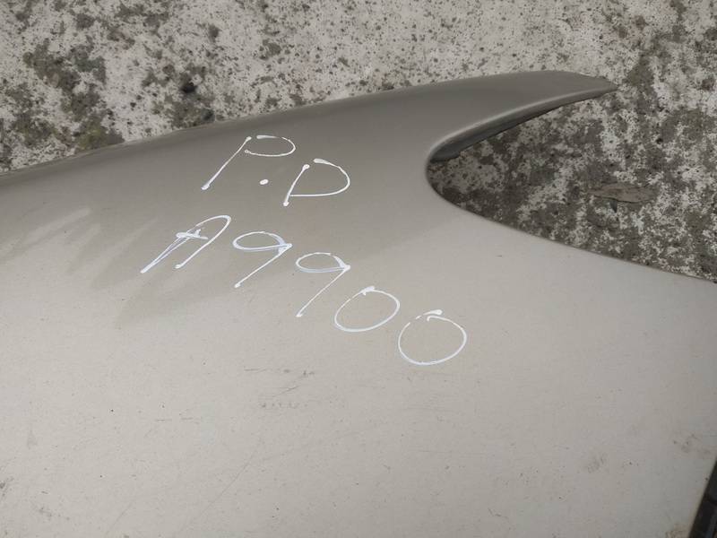 RUDAS Hyundai Santa Fe 2006 Radlauf Kotflügel Vorne rechts - Thumbnail 3