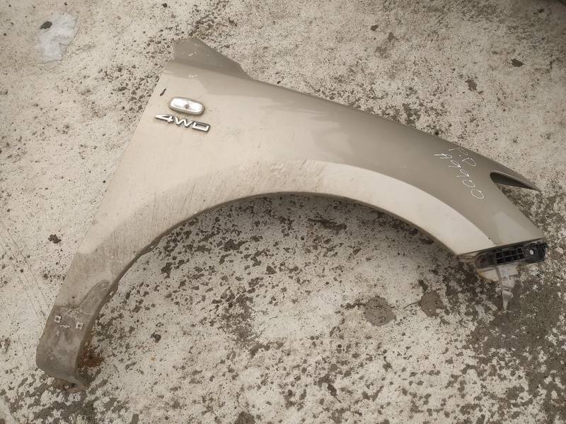 RUDAS Hyundai Santa Fe 2006 Radlauf Kotflügel Vorne rechts