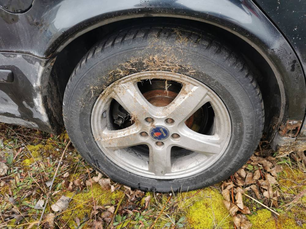 5X110 SAAB 9-5 2003 Räder-Kit R16 - Thumbnail 4