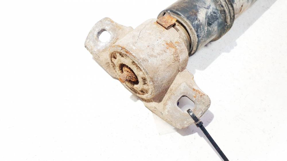 Peugeot 3008 2010 Shock Absorber - Suspension Strut Assembly - REAR RIGHT - Thumbnail 2