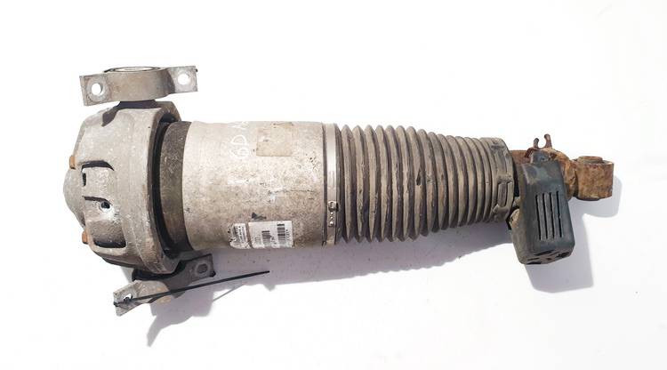 7L86160120 Audi Q7 2007 Shock Absorber - Suspension Strut Assembly - REAR RIGHT