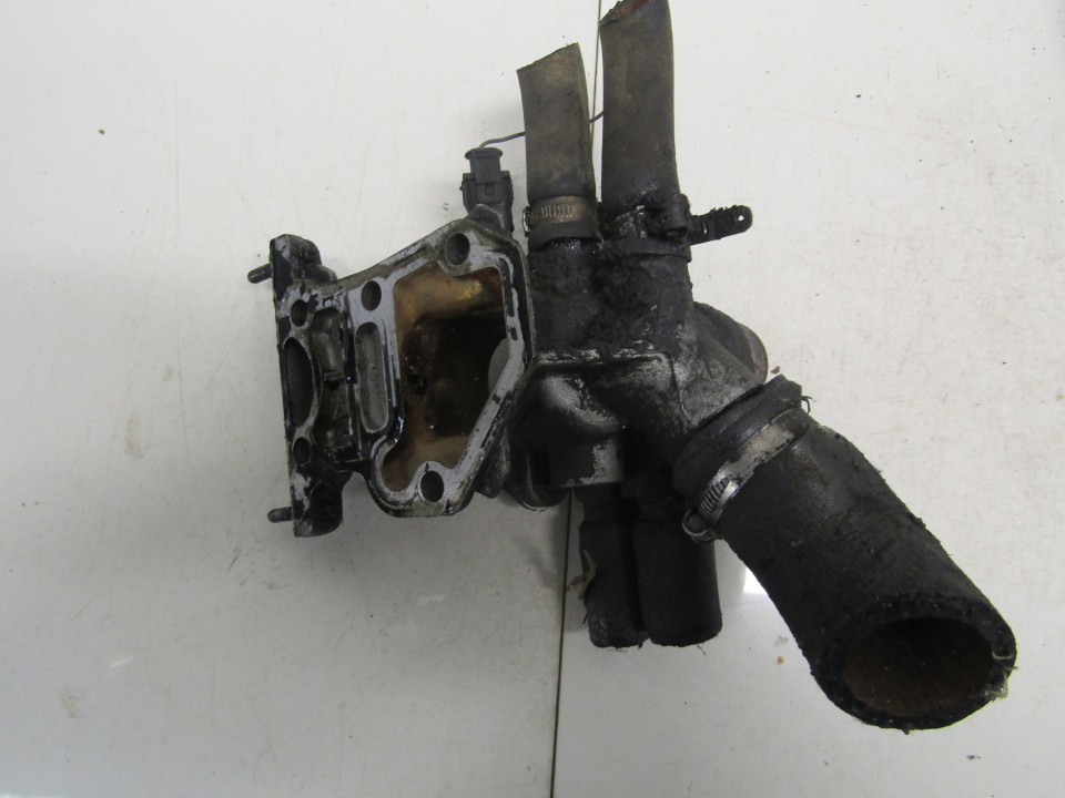 500308450 500308450 Thermostat Housing (Flange) Peugeot Boxer 2004 2.8L