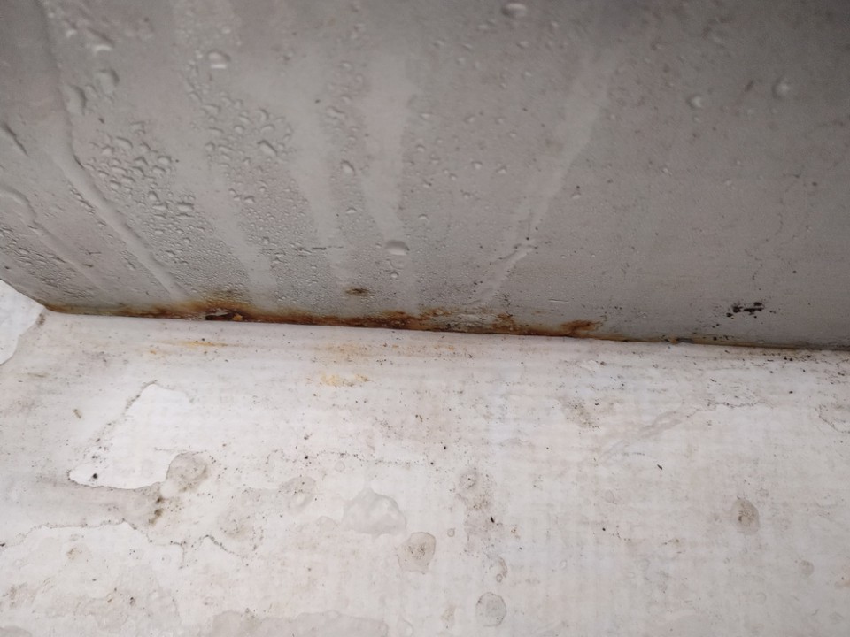 PILKOS Opel Zafira 2003 Doors - REAR LEFT - Thumbnail 3