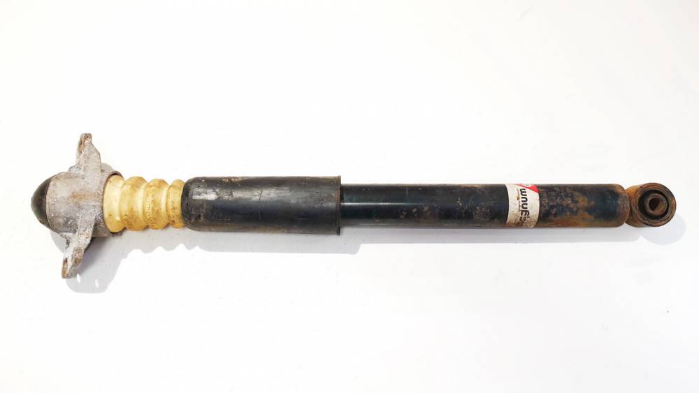 AGW066MT Skoda Octavia 2006 Shock Absorber - Suspension Strut Assembly - REAR RIGHT