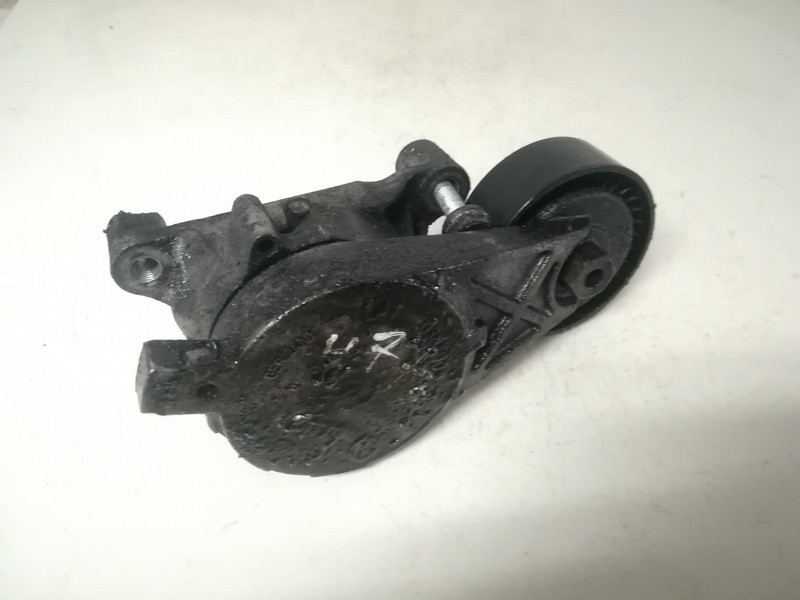 03G903315A Volkswagen Passat 2006 Dirzo itempejas (Paskirstymo dirzo itempejas)