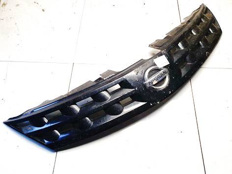DS07247 Nissan Murano 2005 Hood grille - FRONT