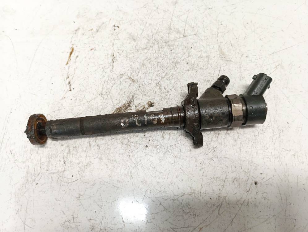 0445110259 Citroen Xsara Picasso 2006 Fuel Injector