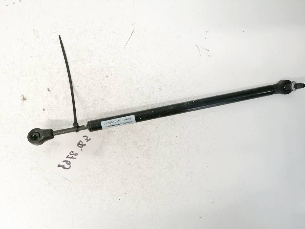 9132070H Ford Focus 2002 Galinio Dangcio amortizatorius G. (kapoto)