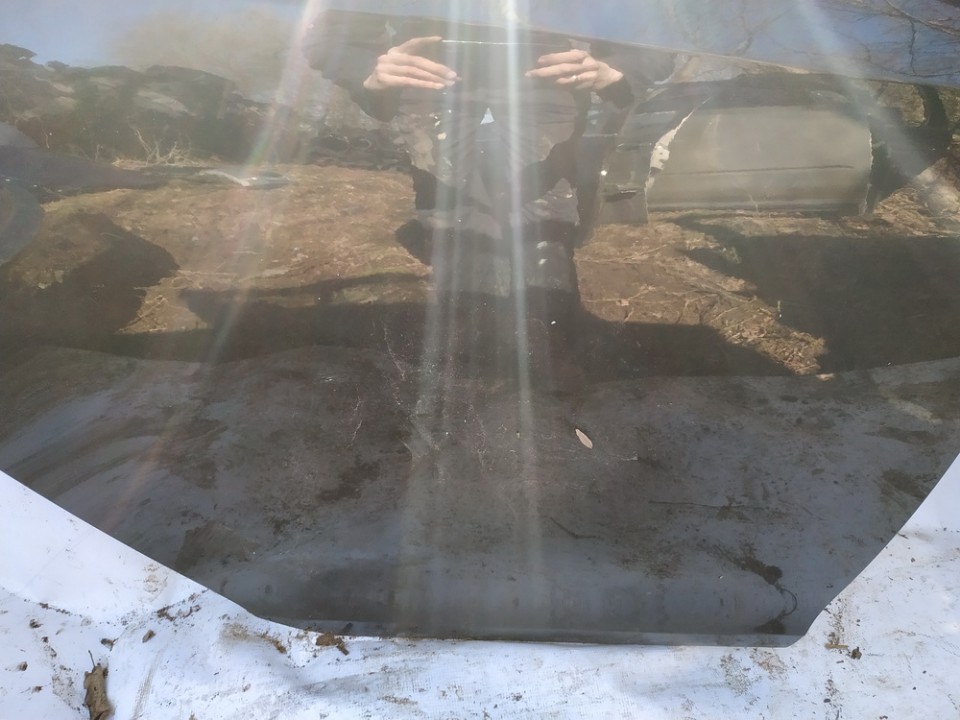 JUODOS Opel Insignia 2010 Durvis - AIZMUGURE PA LABI - Thumbnail 3