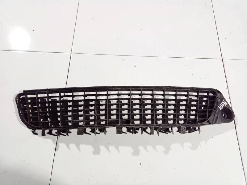 239263762 Opel Vectra 2002 Hood grille - FRONT