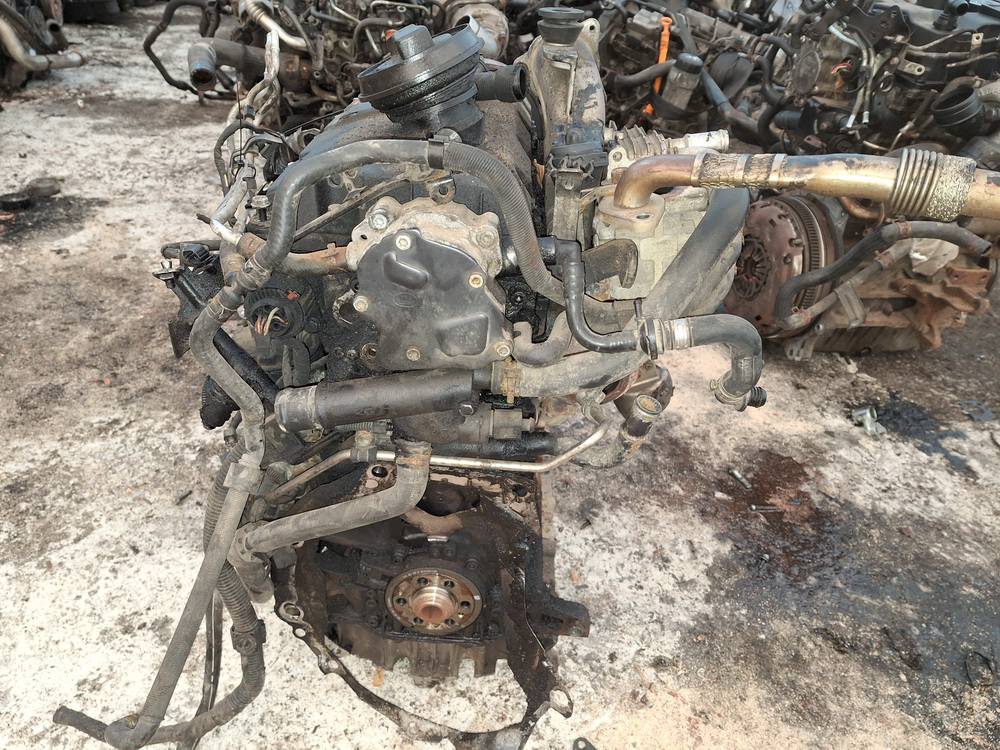 BKC Volkswagen Passat 2005 moteur - Thumbnail 3