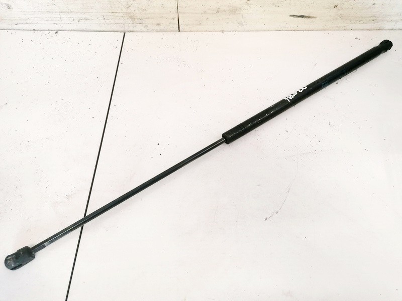 24454473 Opel Vectra 2004 Gasfeder, Motorhaube