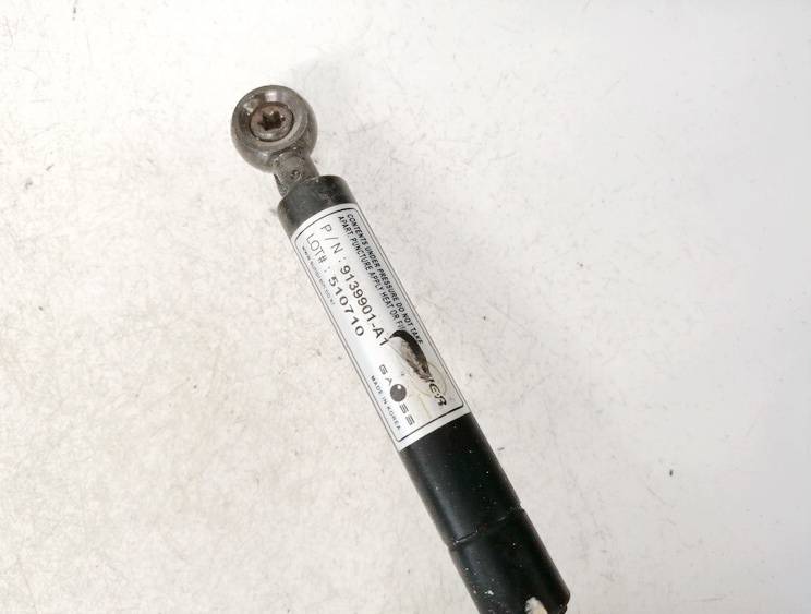 9139901A1 Ford Focus 2002 Galinio Dangcio amortizatorius G. (kapoto) - Thumbnail 3