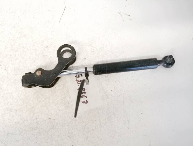 9139901A1 Ford Focus 2002 Galinio Dangcio amortizatorius G. (kapoto)