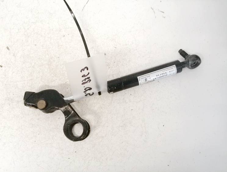 9139901A1 Ford Focus 2002 Galinio Dangcio amortizatorius G. (kapoto) - Thumbnail 2