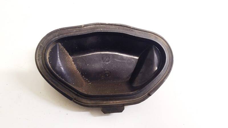15619200 Opel Signum 2003 Luktura spuldzes putekļu vāciņš