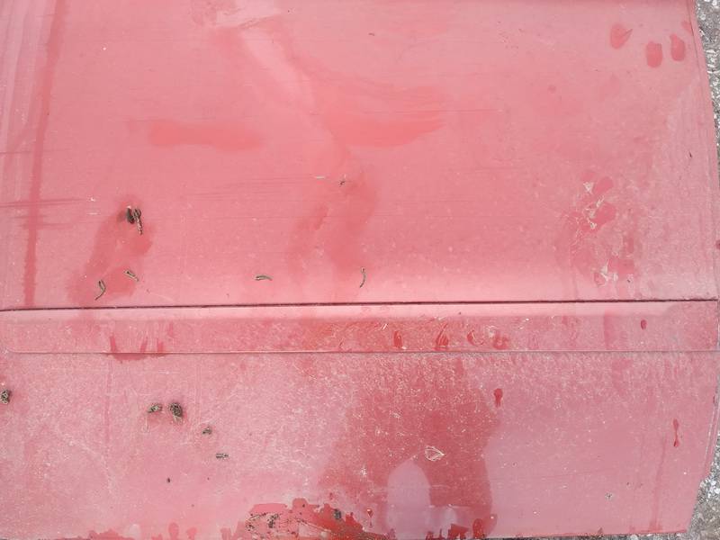 Ford Galaxy 2007 Listón embellecedor de la puerta delantera (moldura) - TRASERO DERECHO - Thumbnail 2