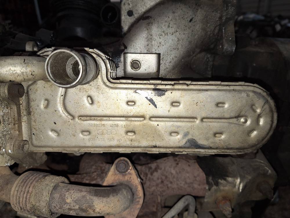 038131513AD Volkswagen Passat 2005 Chłodnica EGR (chłodnica spalin EGR)