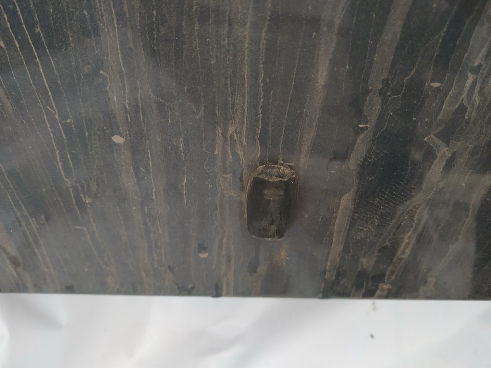 PILKAS Ford Focus 2003 Priekinio stiklo apiplovimo purkstukas - Thumbnail 2