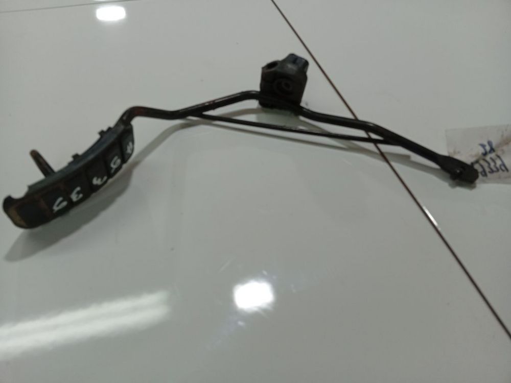 Renault Scenic 2000 Elektrinis greicio pedalas