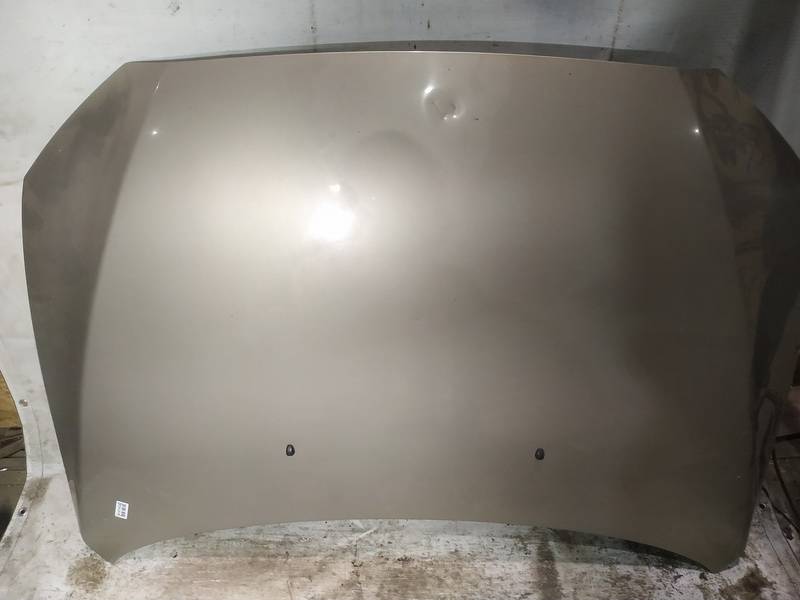 GELTONAS Mitsubishi Lancer 2008 Motora pārsegi