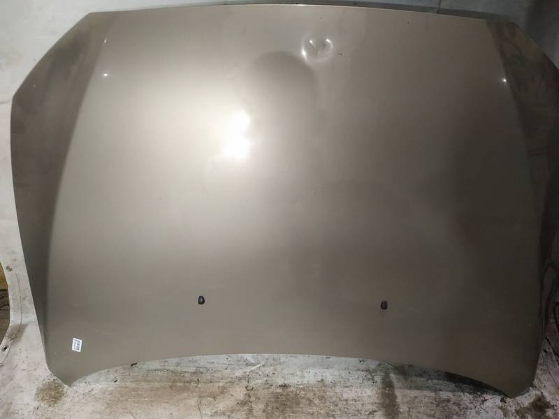 GELTONAS Mitsubishi Lancer 2008 Motora pārsegi - Thumbnail 2