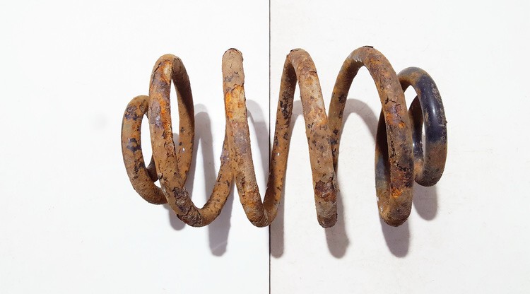 Renault Clio 2003 Amortyzator sprężynowy tył