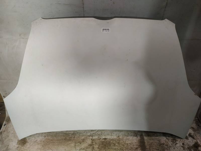 BALTAS Fiat Doblo 2014 Hood