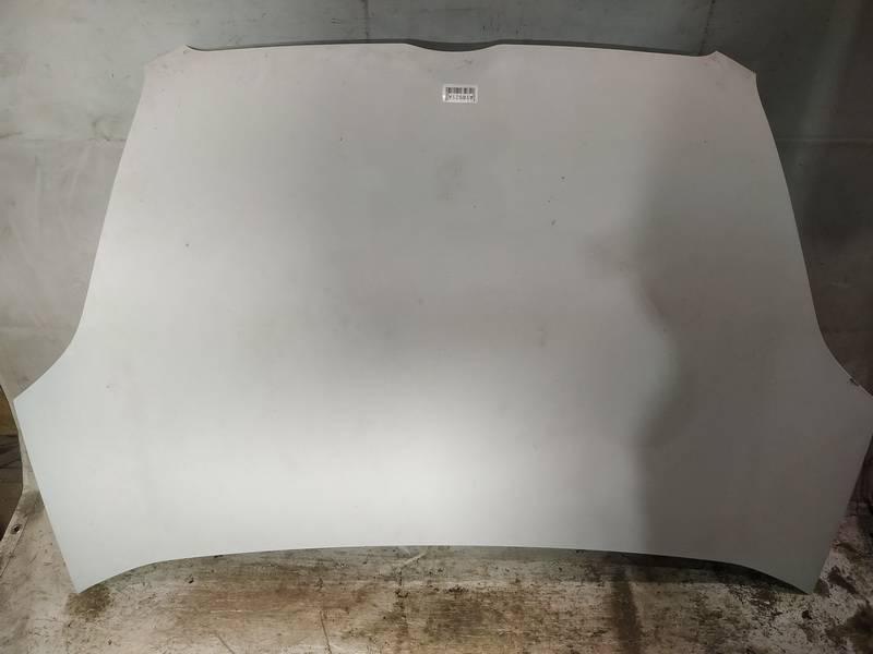 BALTAS Fiat Doblo 2014 Hood - Thumbnail 2