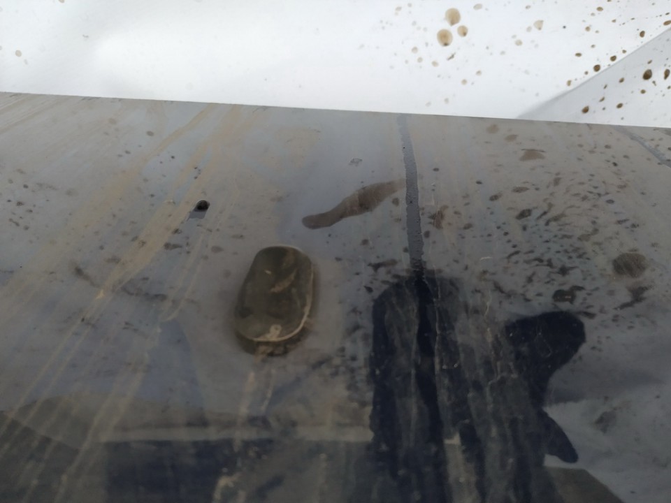 Ford Focus 2006 Priekšējā stikla mazgāšanas sprausla