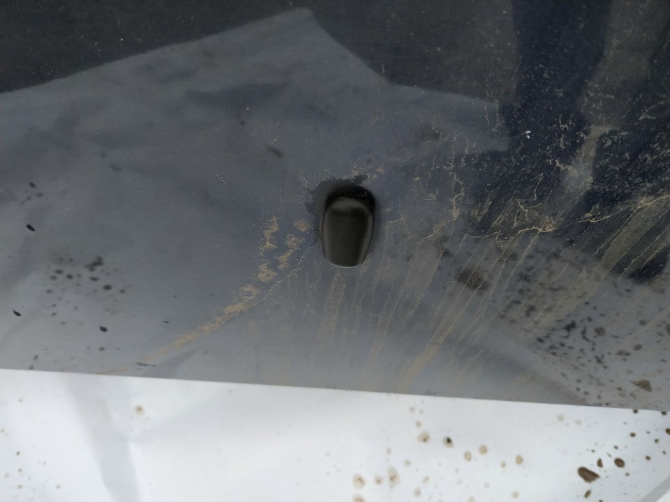 Ford Focus 2006 Priekšējā stikla mazgāšanas sprausla