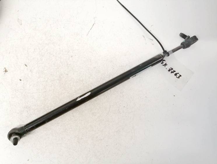 Ford Focus 2002 Galinio Dangcio amortizatorius G. (kapoto) - Thumbnail 2