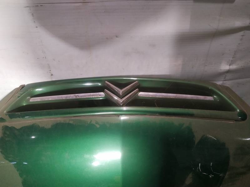 Citroen Xsara 1998 Передняя решетка (Капот) - Thumbnail 2