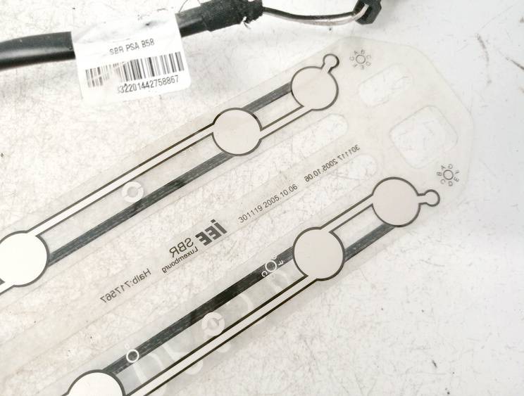 301119 Citroen C4 Grand Picasso 2007 Sedynes sildymo elementas - Thumbnail 3