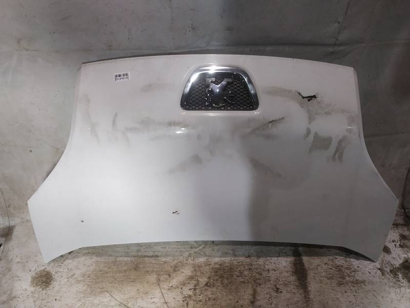 BALTAS Peugeot Bipper 2008 Hood