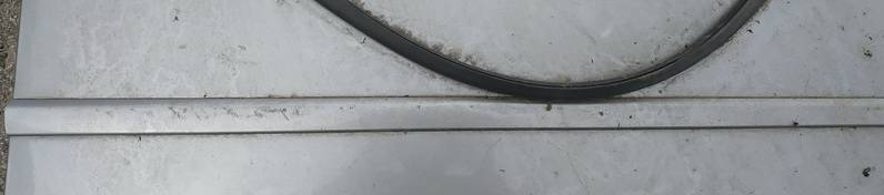 Audi A4 2003 Molding door - FRONT RIGHT