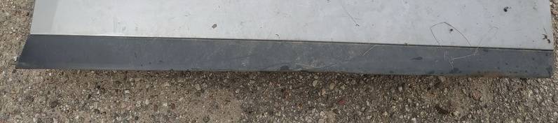 Audi A4 2003 Molding door - FRONT RIGHT