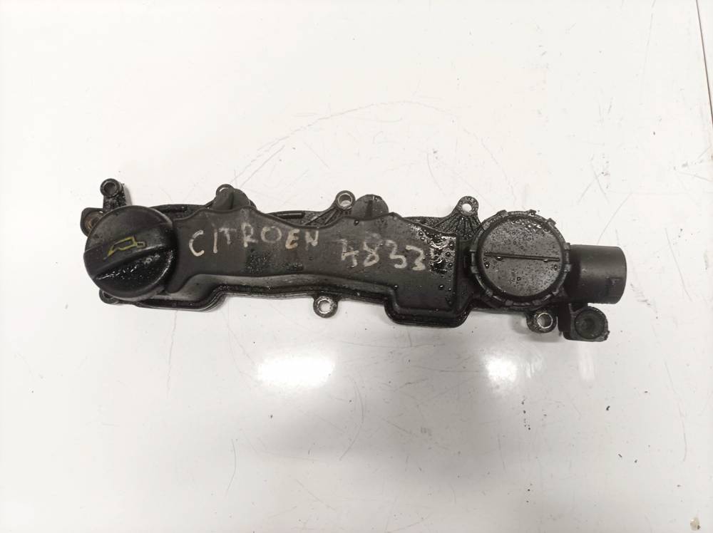 9660281080 Citroen C4 2006 Tapa de balancines