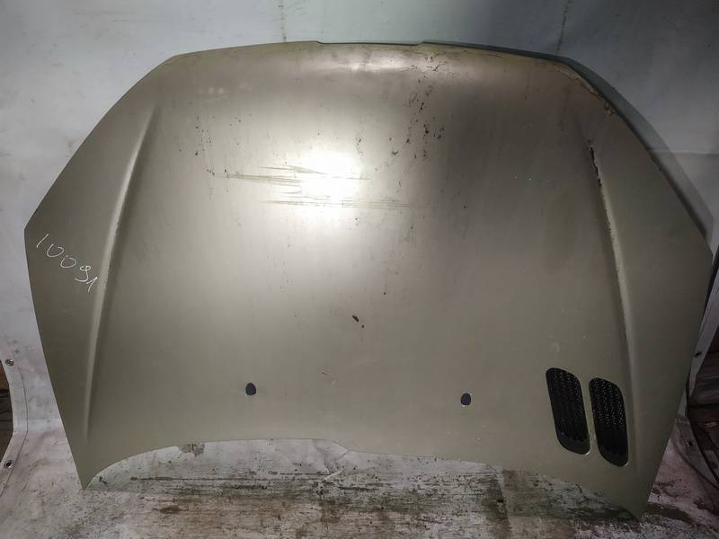 GELTONAS Peugeot 206 2002 Motora pārsegi