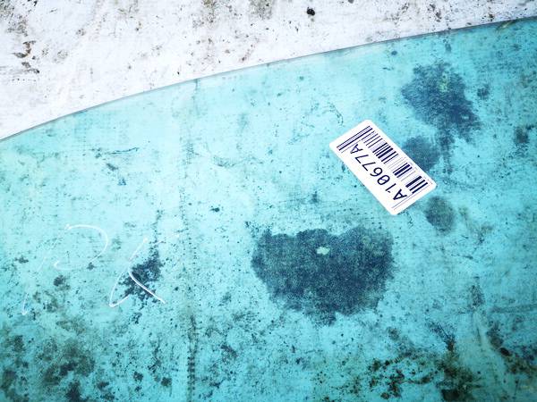 AS2 Lexus RX - CLASS 2003 Seitenscheibe Fenster Seiten Scheibe Vorne Linke - Thumbnail 2