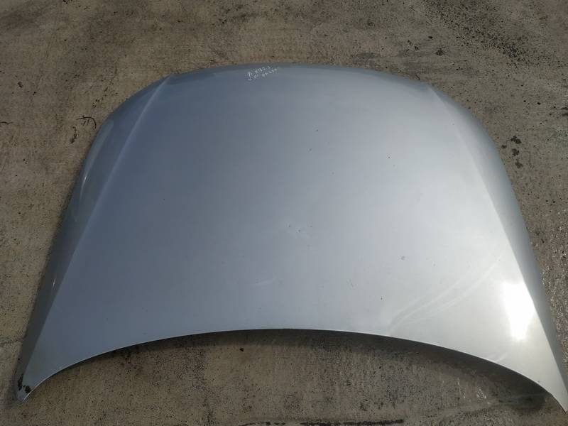 PILKAS Volkswagen Passat 2007 capot