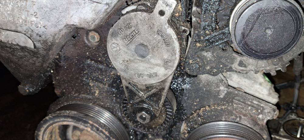 03G903315C Volkswagen Golf 2006 Napinacz paska (napinacz paska rozrządu) - Thumbnail 3