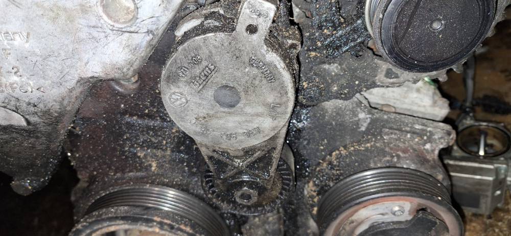 03G903315C Volkswagen Golf 2006 Napinacz paska (napinacz paska rozrządu) - Thumbnail 2