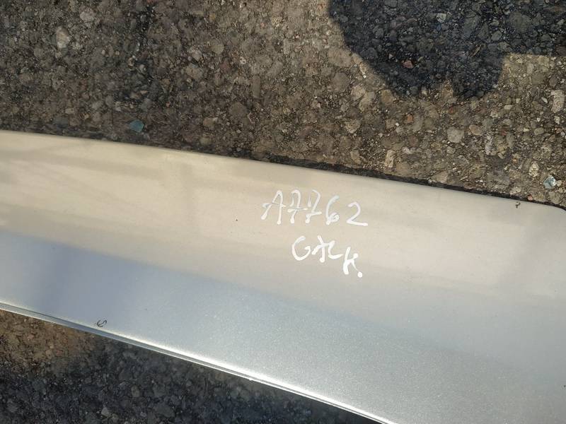 PILKOS Renault Laguna 2001 Doors - REAR LEFT - Thumbnail 3