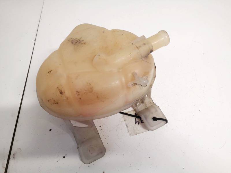 C705 Fiat Punto 2010 Zbiorniczek wyrównawczy płynu chłodzącego - Thumbnail 2